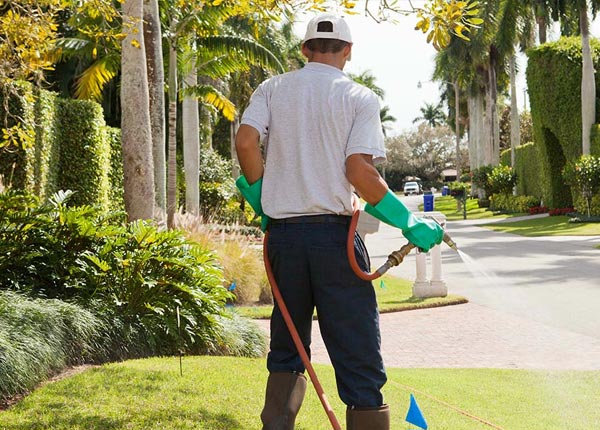 About Engelhard NC Pest Control